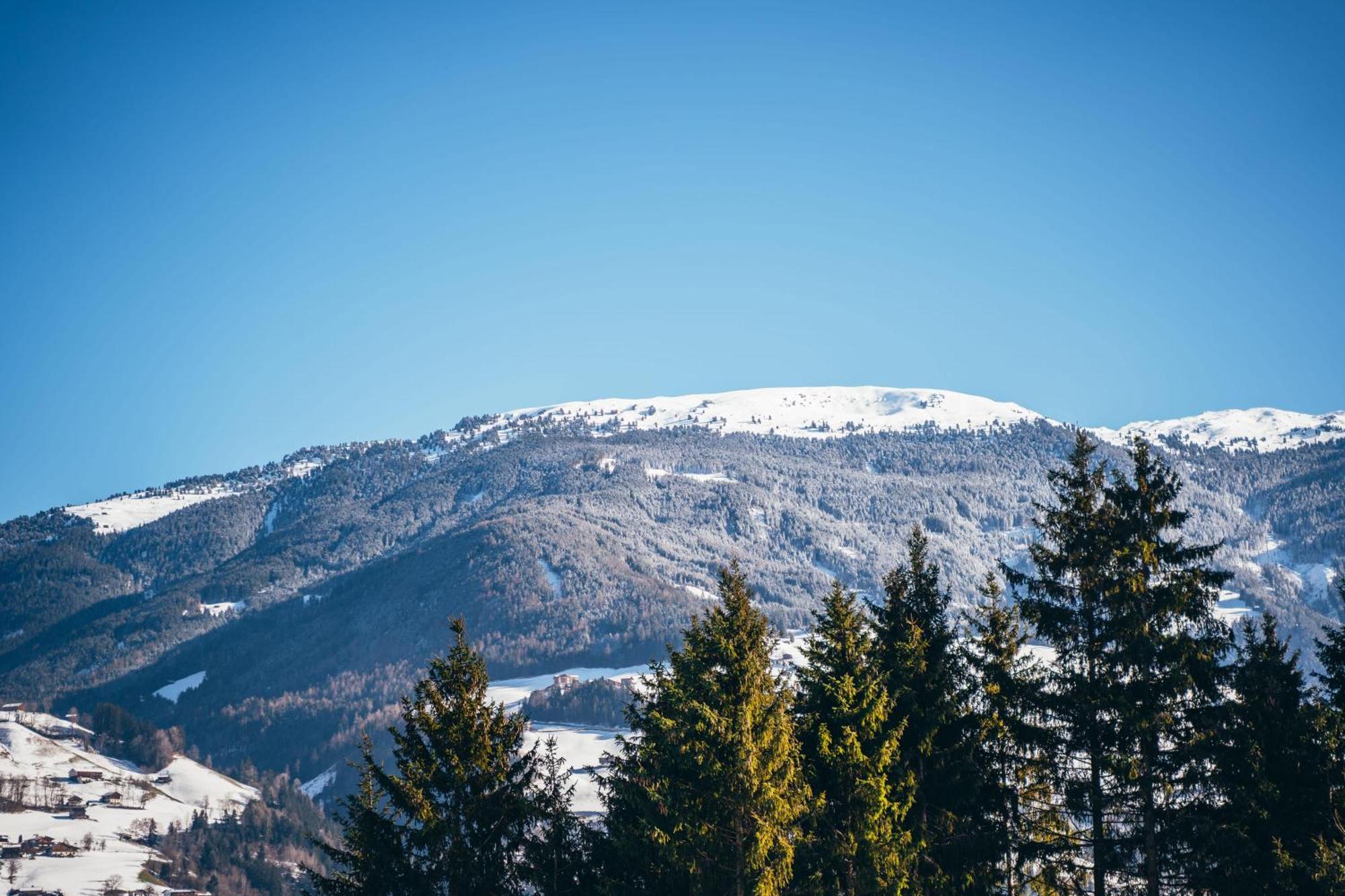 Chalet Wildruh Ried im Zillertal Exterior foto