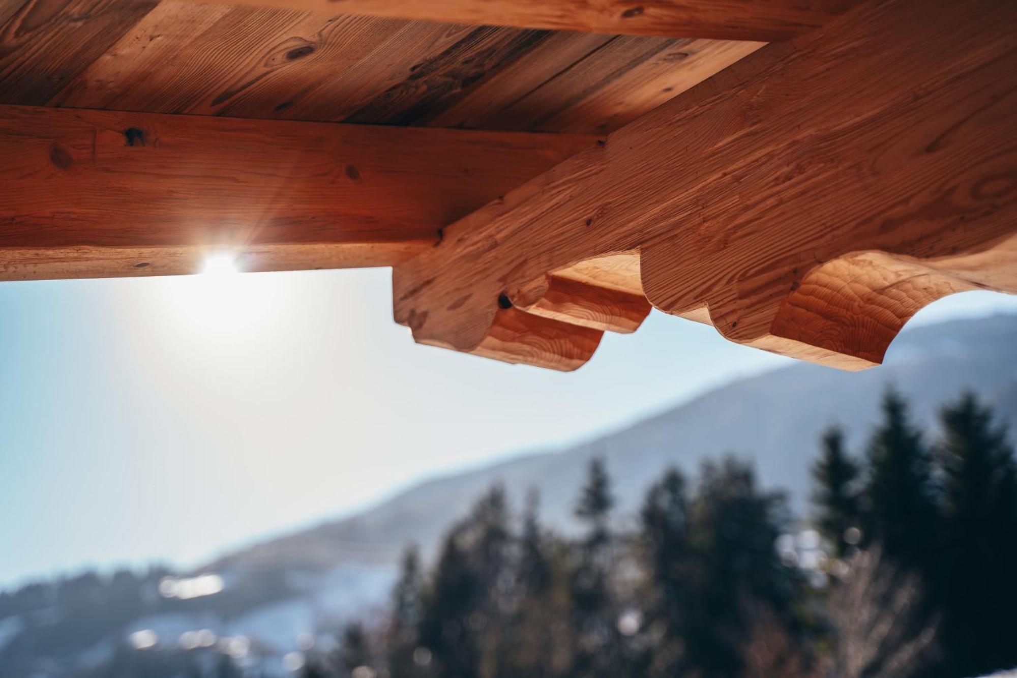 Chalet Wildruh Ried im Zillertal Exterior foto
